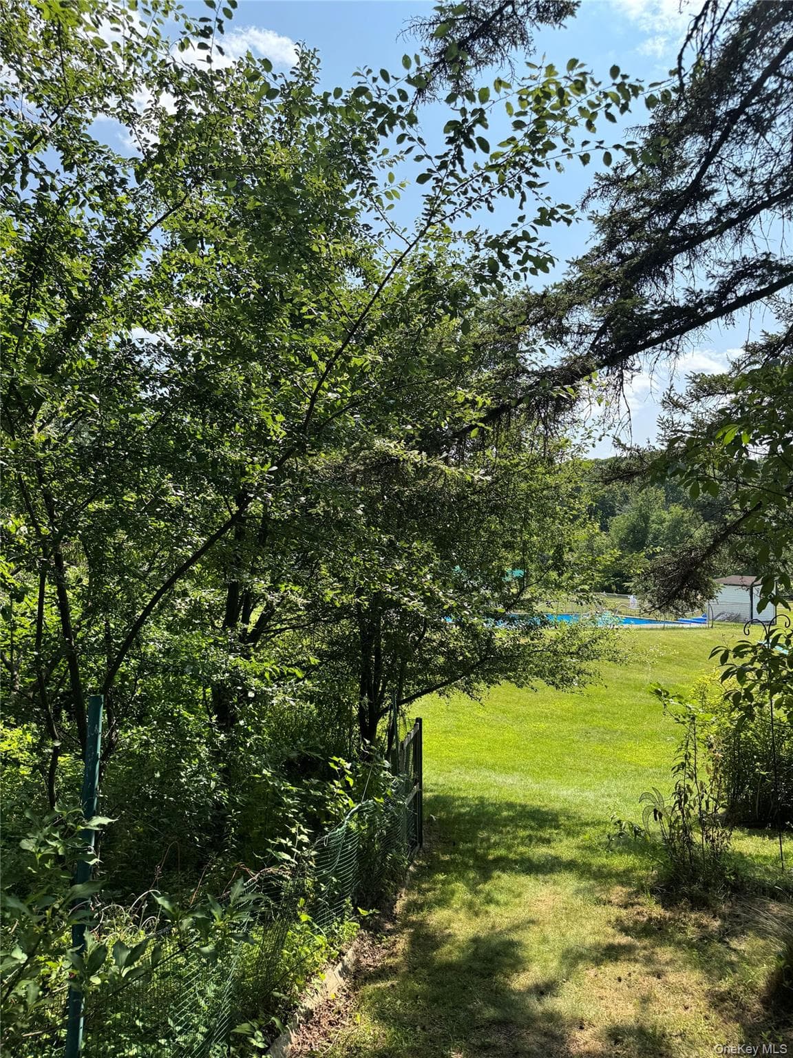 6269 State Route 42 Unit: 6279 thumbnail 28