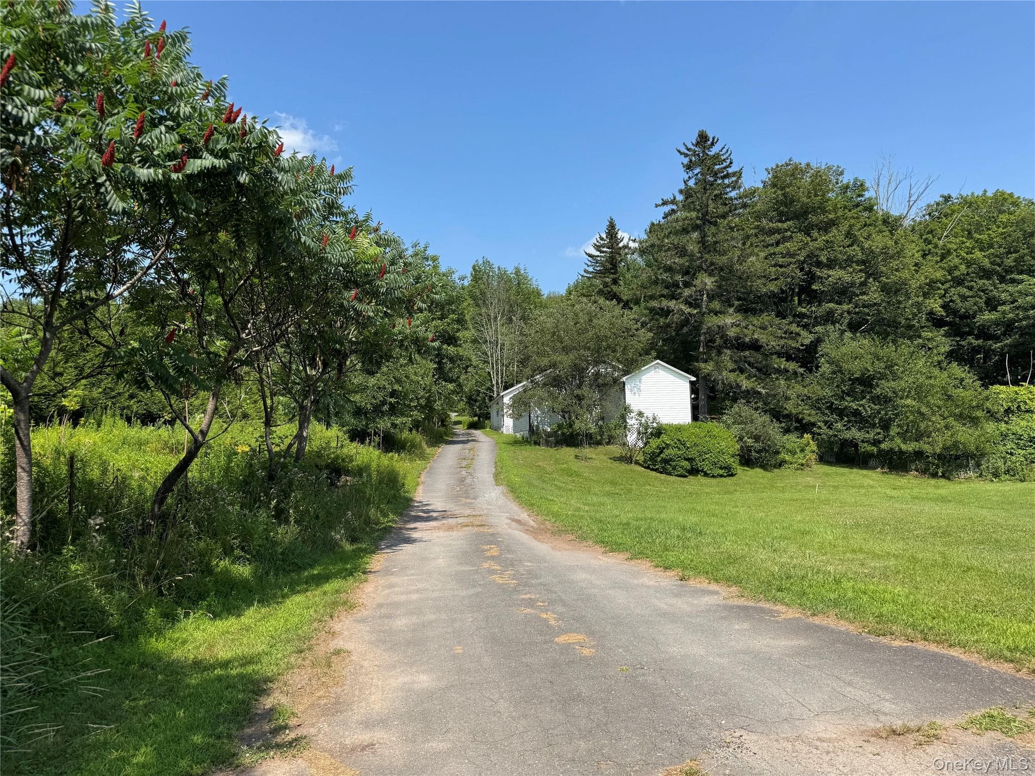 6269 State Route 42 Unit: 6279 thumbnail 37