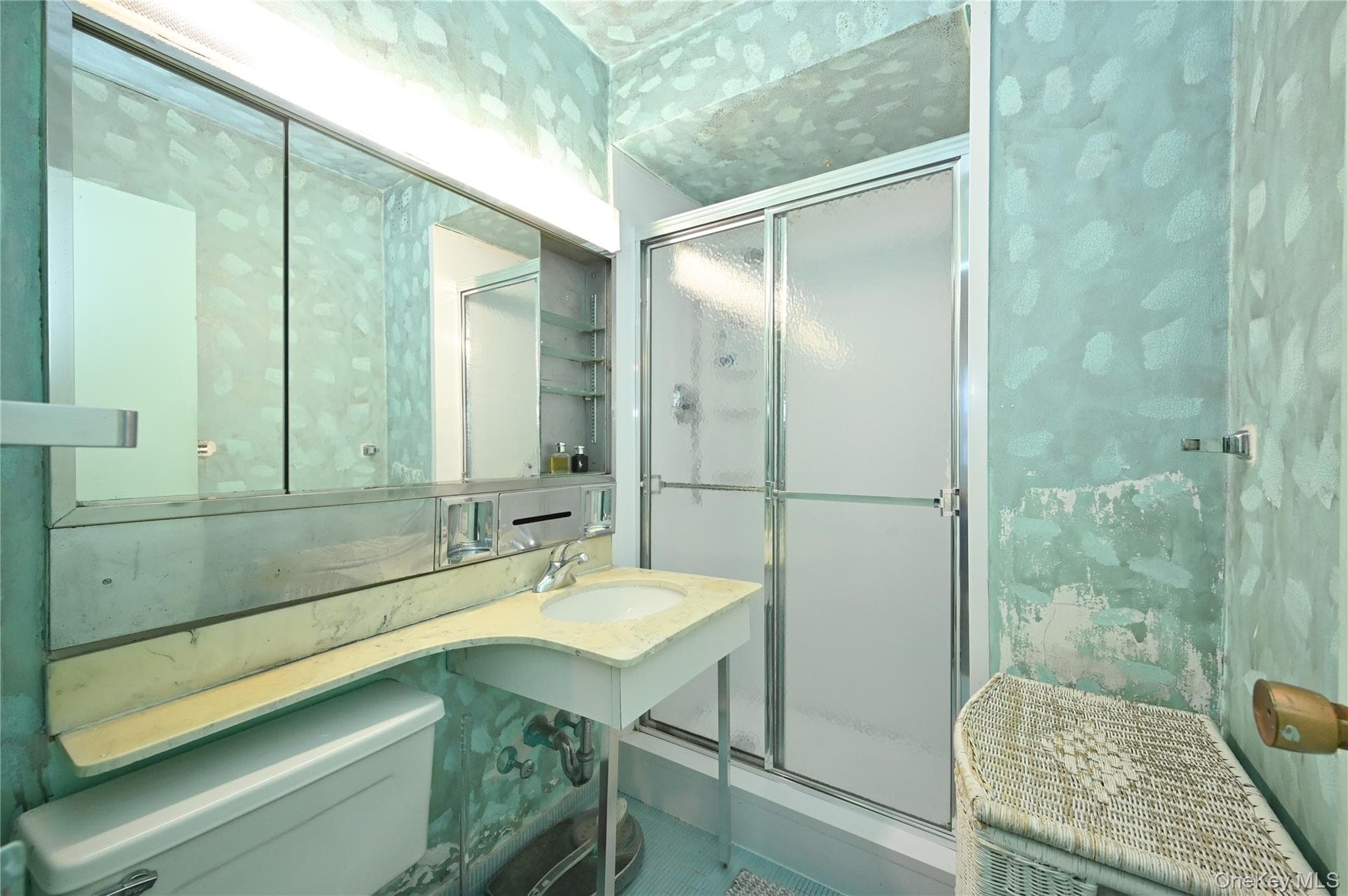 61-20 Grand Central Parkway Unit: C 306 thumbnail 19