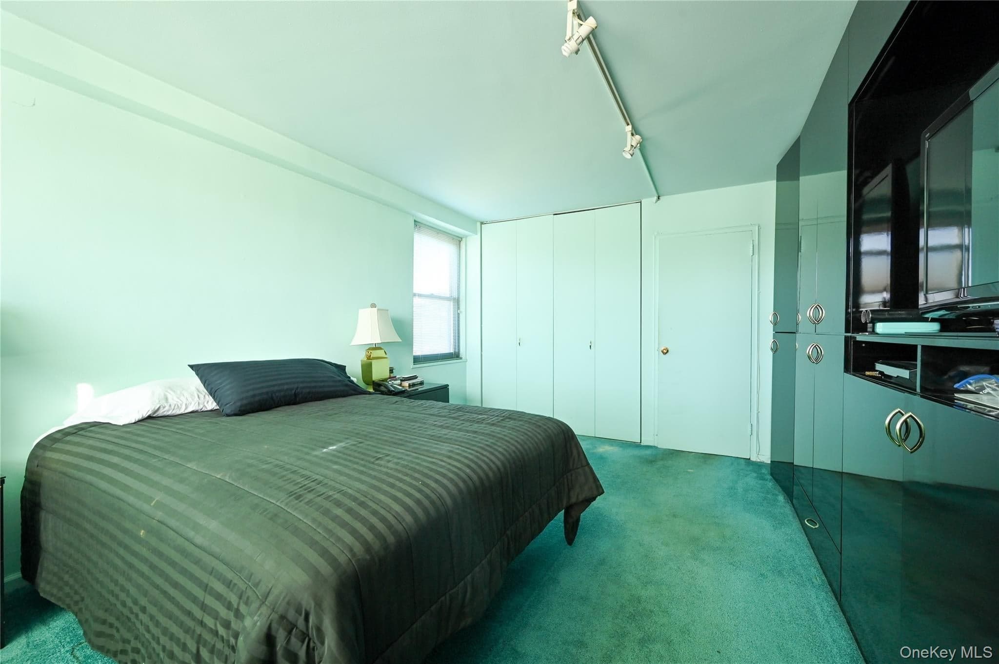 61-20 Grand Central Parkway Unit: C 306 thumbnail 14
