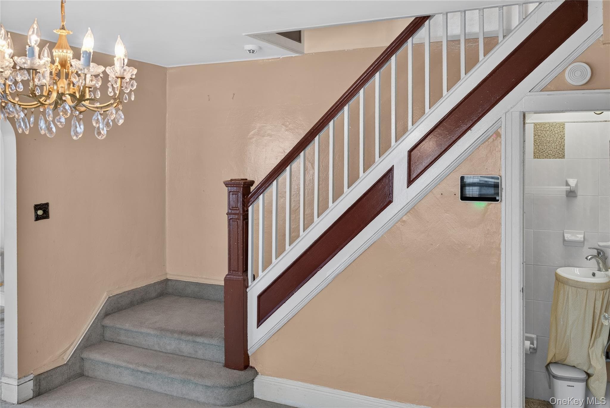 543 E 38th Street thumbnail 6