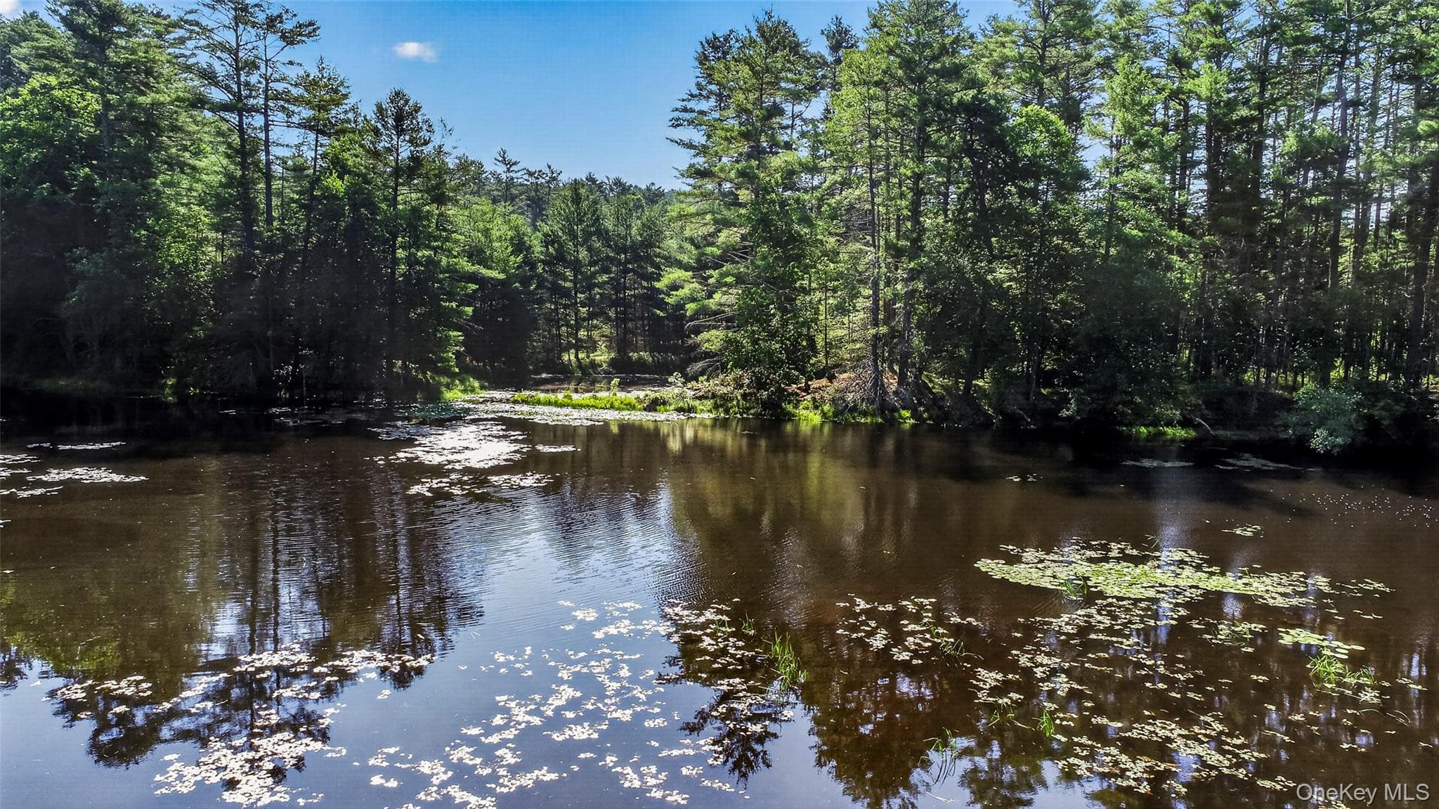 80 Beaver Brook Road thumbnail 28