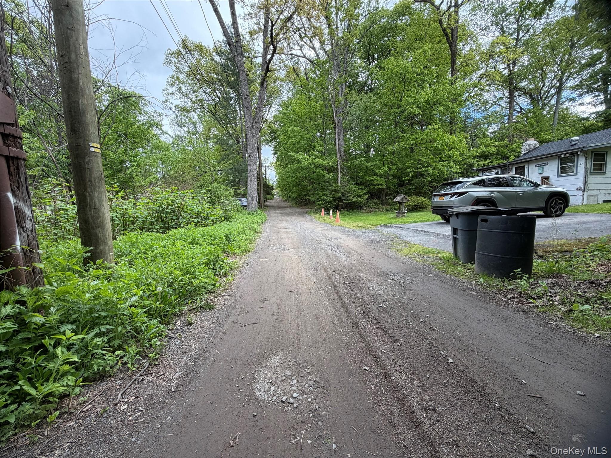 48 Paradise Trail thumbnail 2