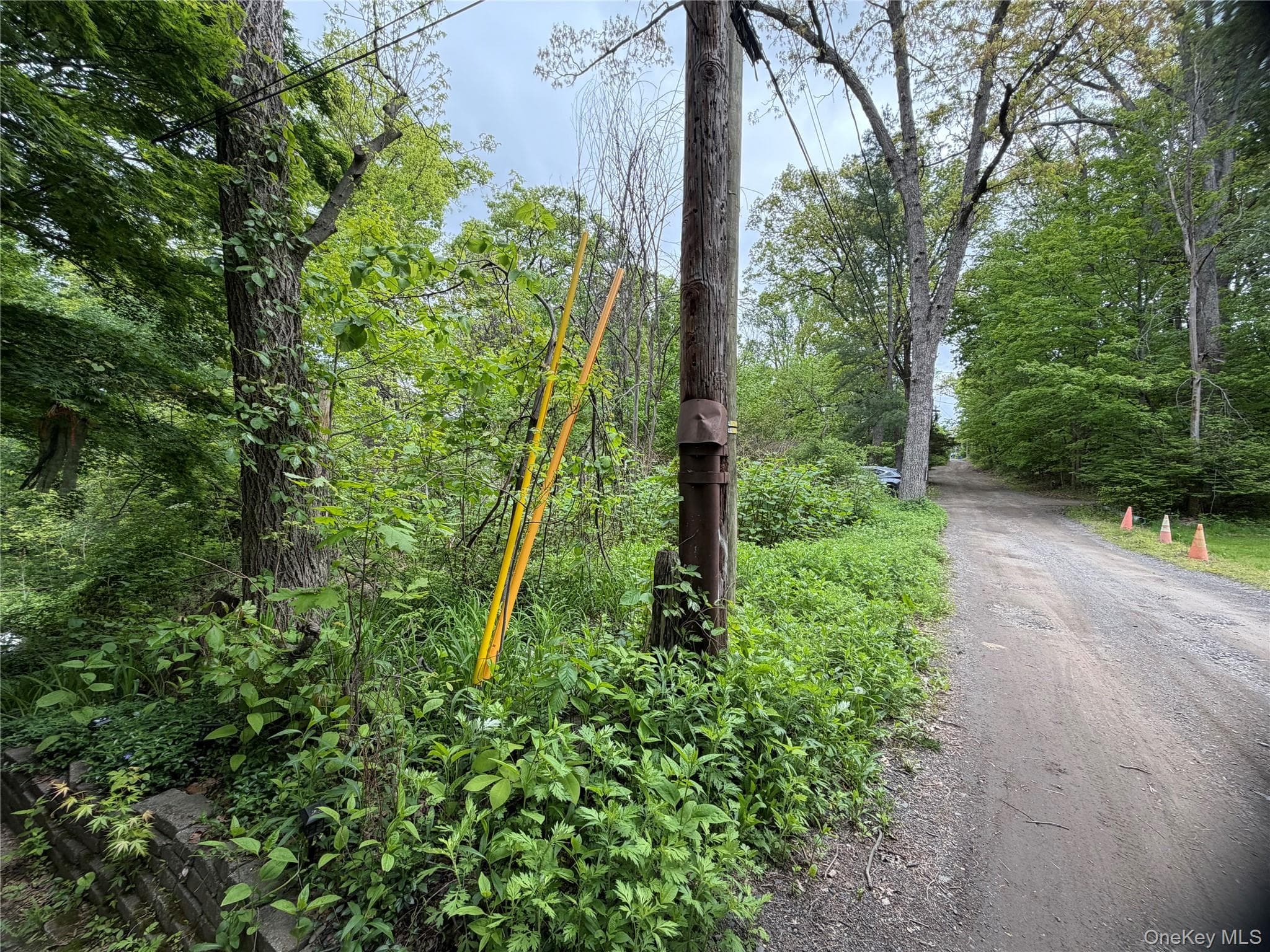 48 Paradise Trail thumbnail 3