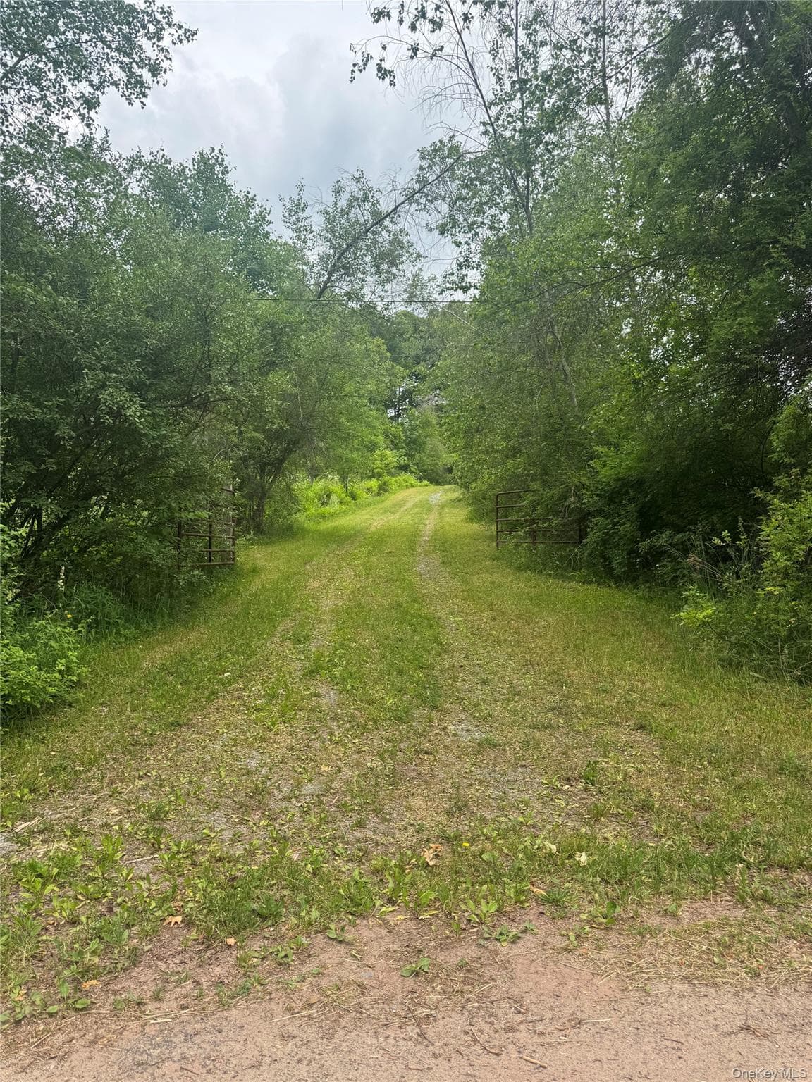 742 Lenape Lake Road thumbnail 2