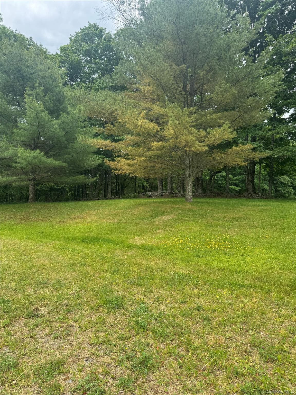 742 Lenape Lake Road thumbnail 12