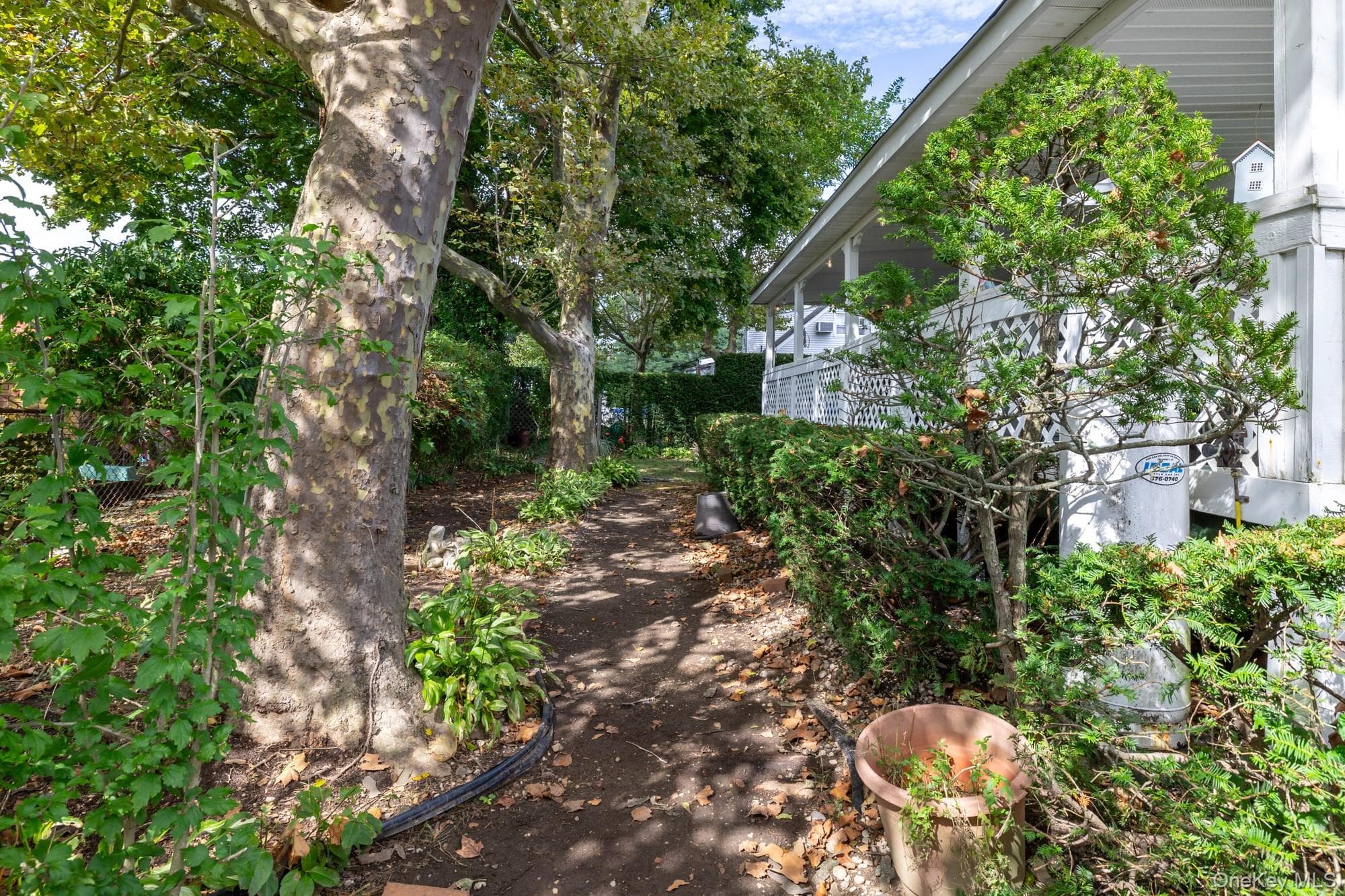 144 Nassau Avenue thumbnail 28