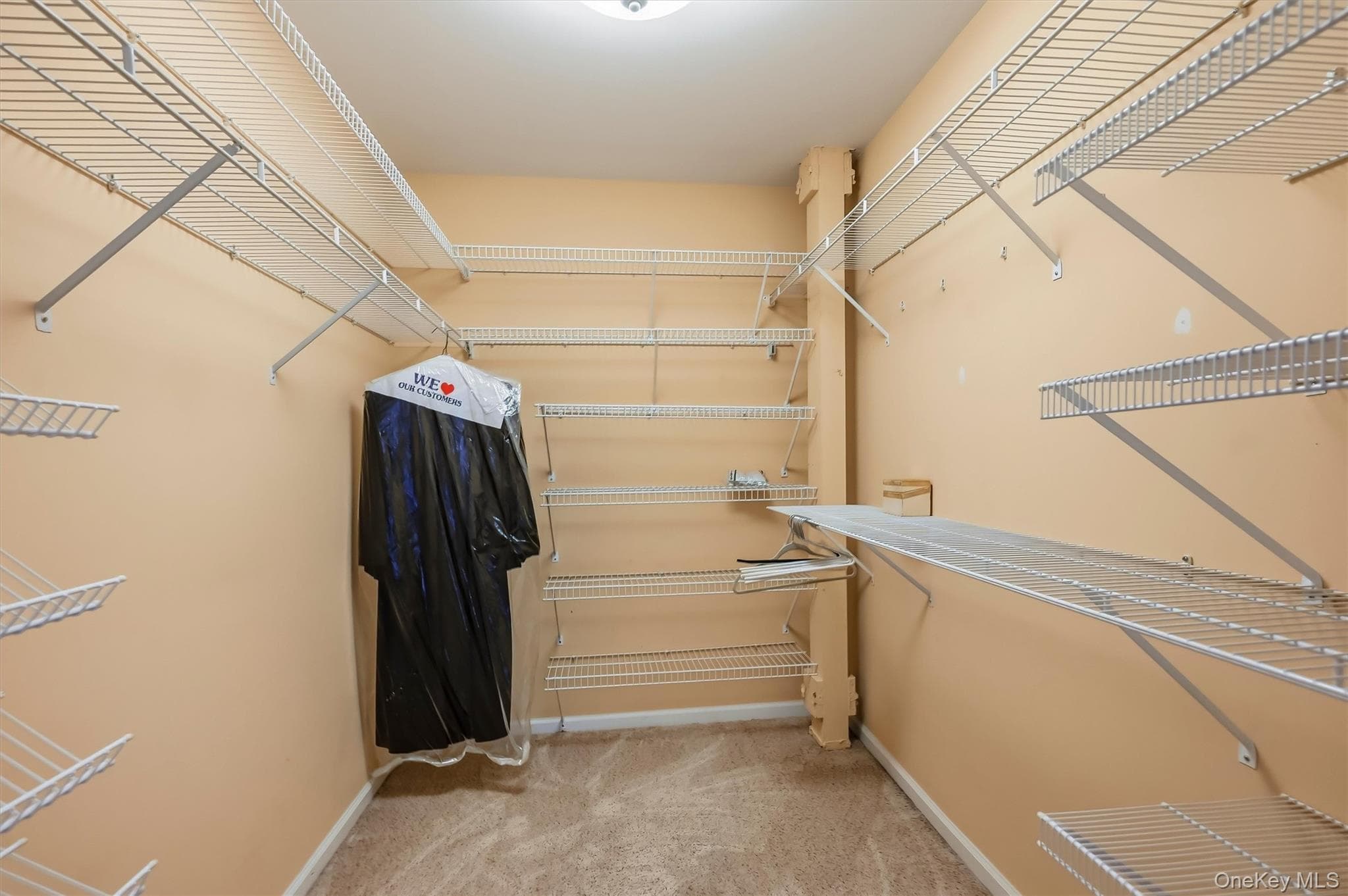 49 Gair Street Unit: 49 thumbnail 28