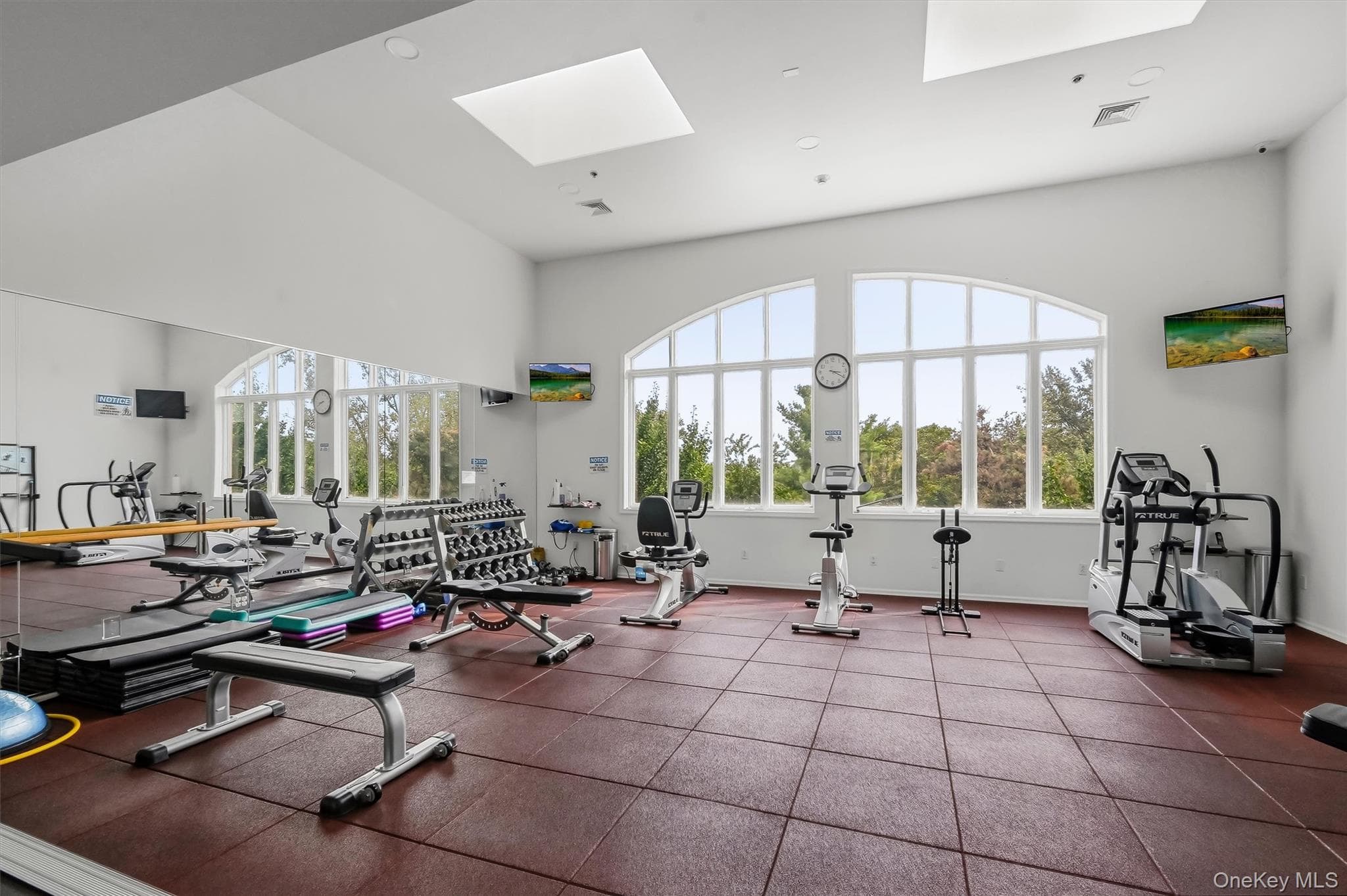 49 Gair Street Unit: 49 thumbnail 39