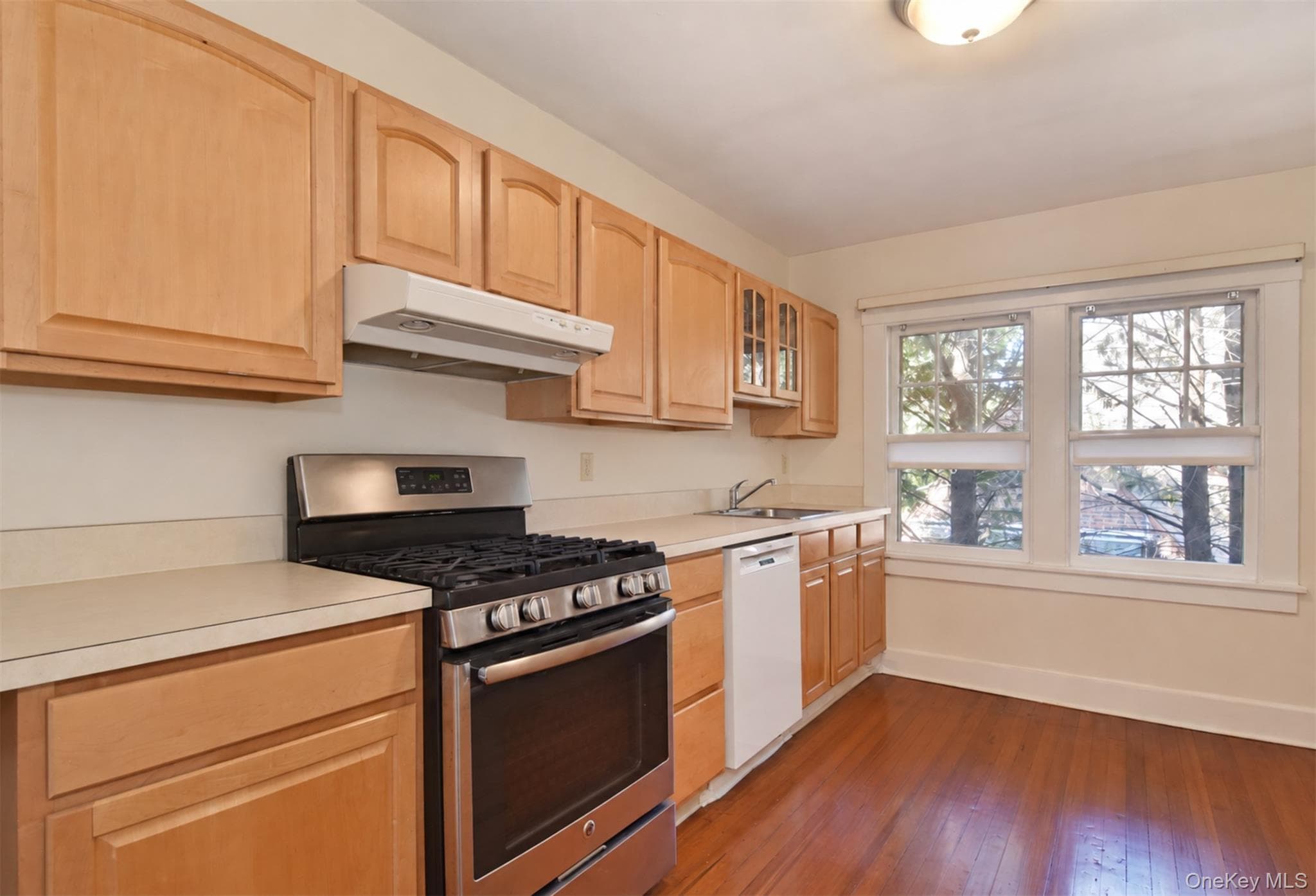58 Young Avenue thumbnail 20