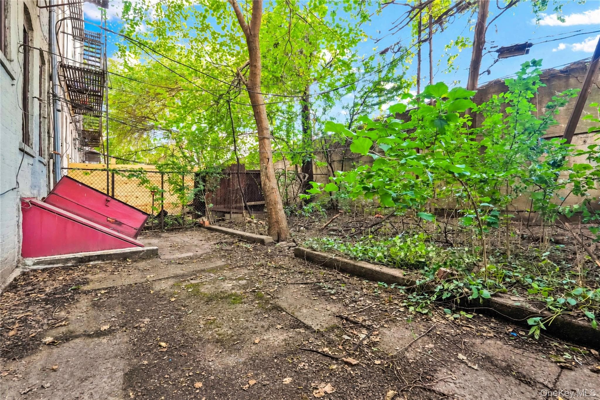 16-77 Woodbine Street thumbnail 33