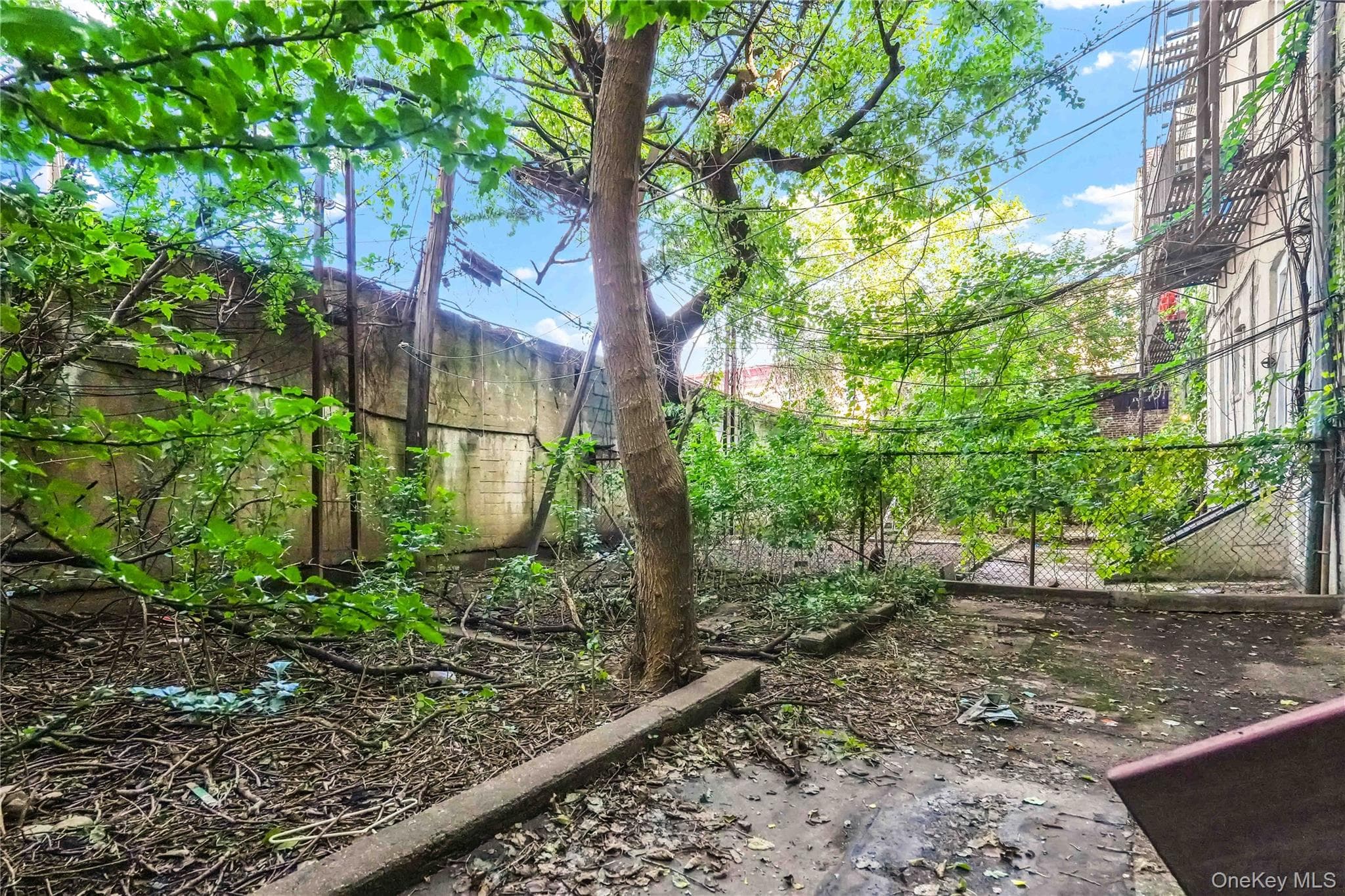16-77 Woodbine Street thumbnail 34