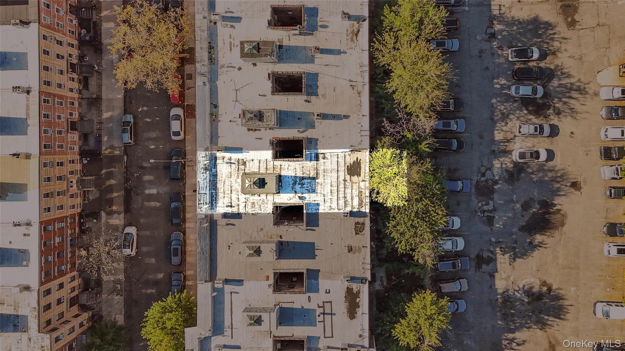 16-77 Woodbine Street thumbnail 2
