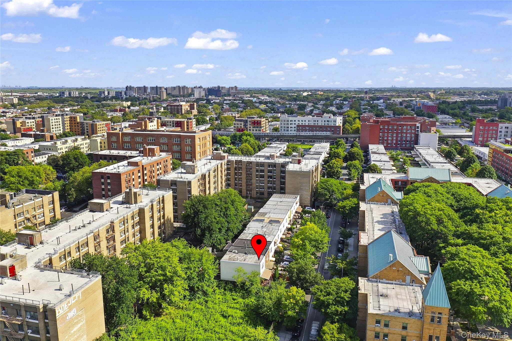 343 Hinsdale Street thumbnail 4