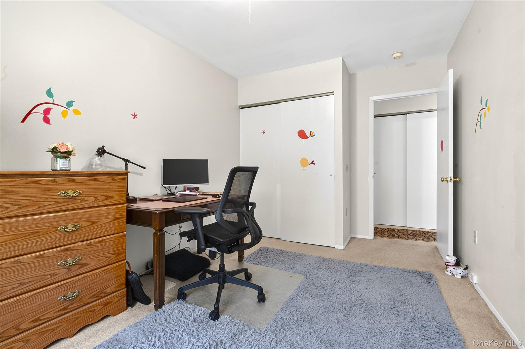 343 Hinsdale Street thumbnail 14