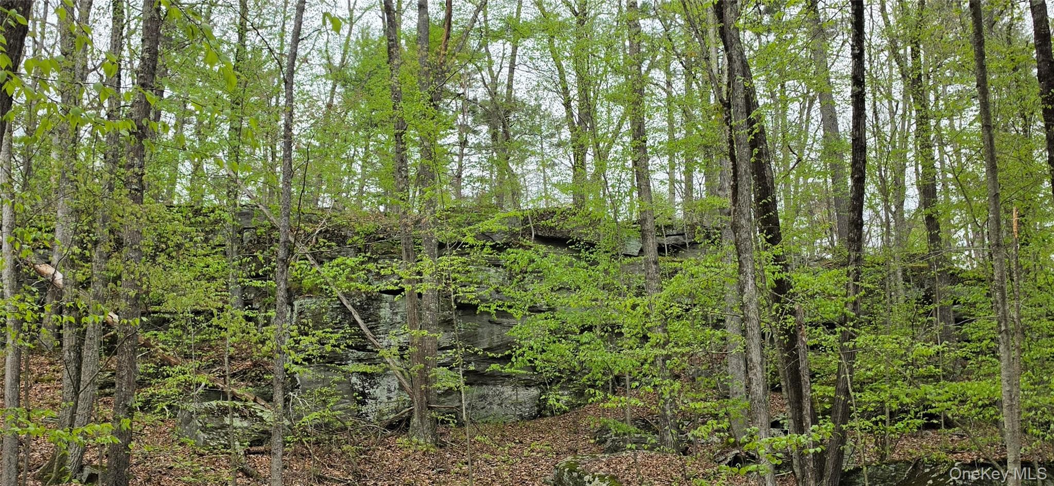 Lot 23.21 State Route 97 thumbnail 14