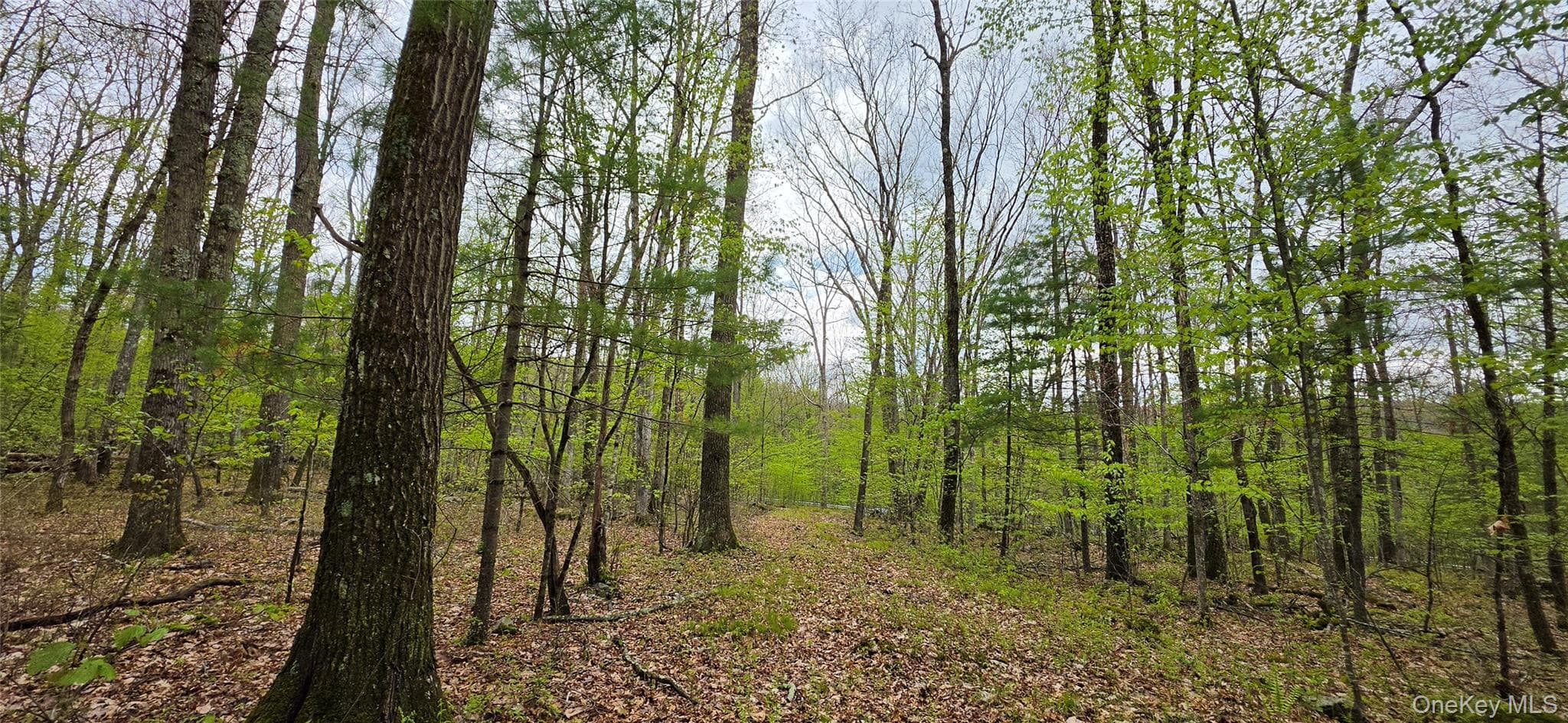 Lot 23.21 State Route 97 thumbnail 22