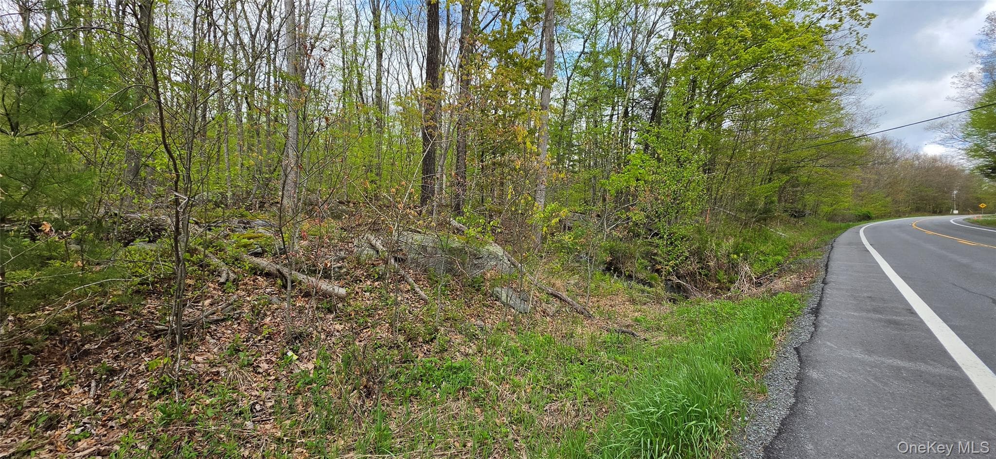 Lot 23.21 State Route 97 thumbnail 27