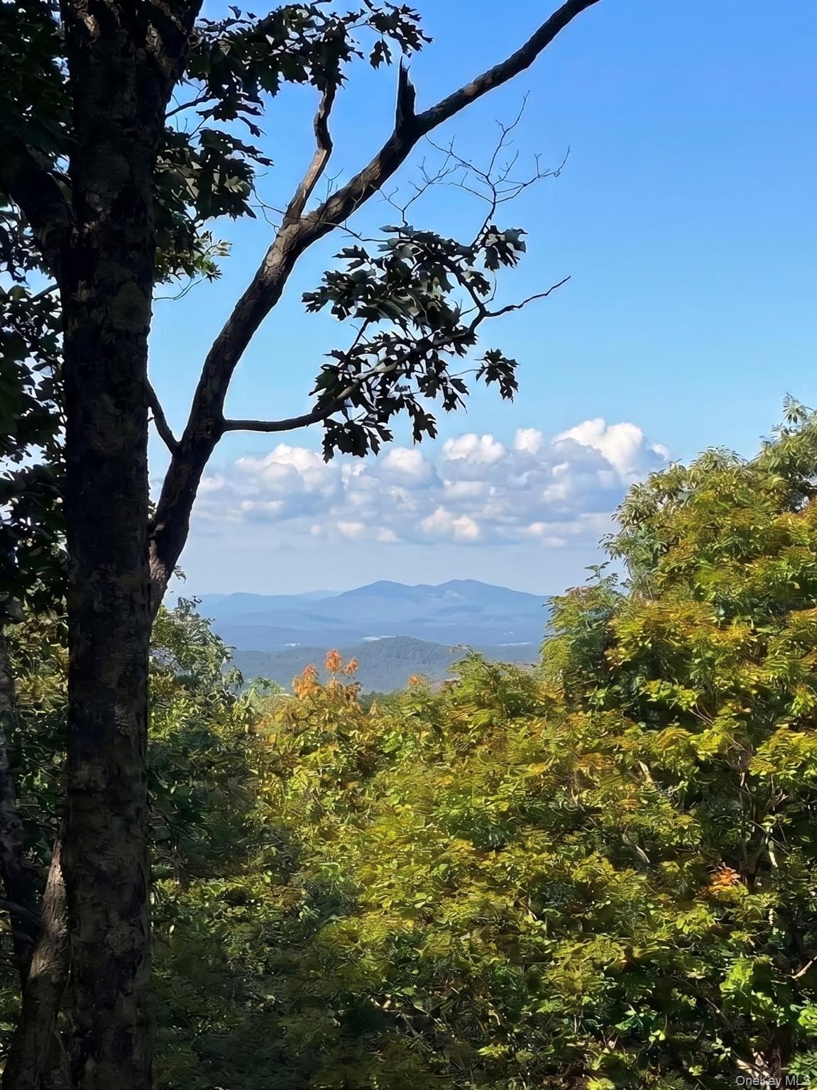 400 Mercer Mountain Road, East Chatham
