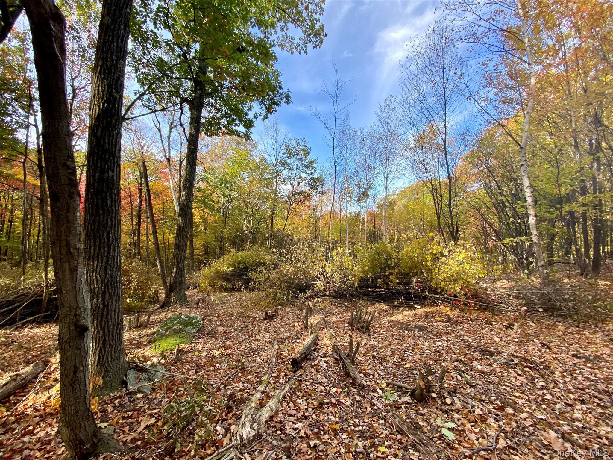 400 Mercer Mountain Road thumbnail 15