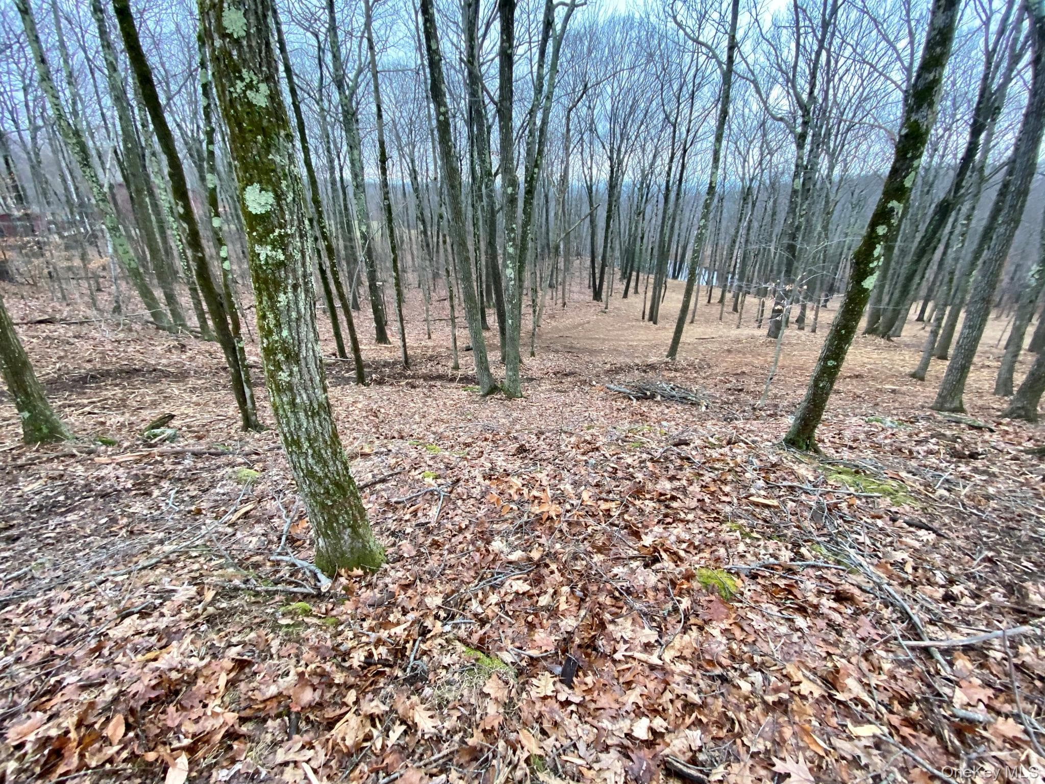 400 Mercer Mountain Road thumbnail 14