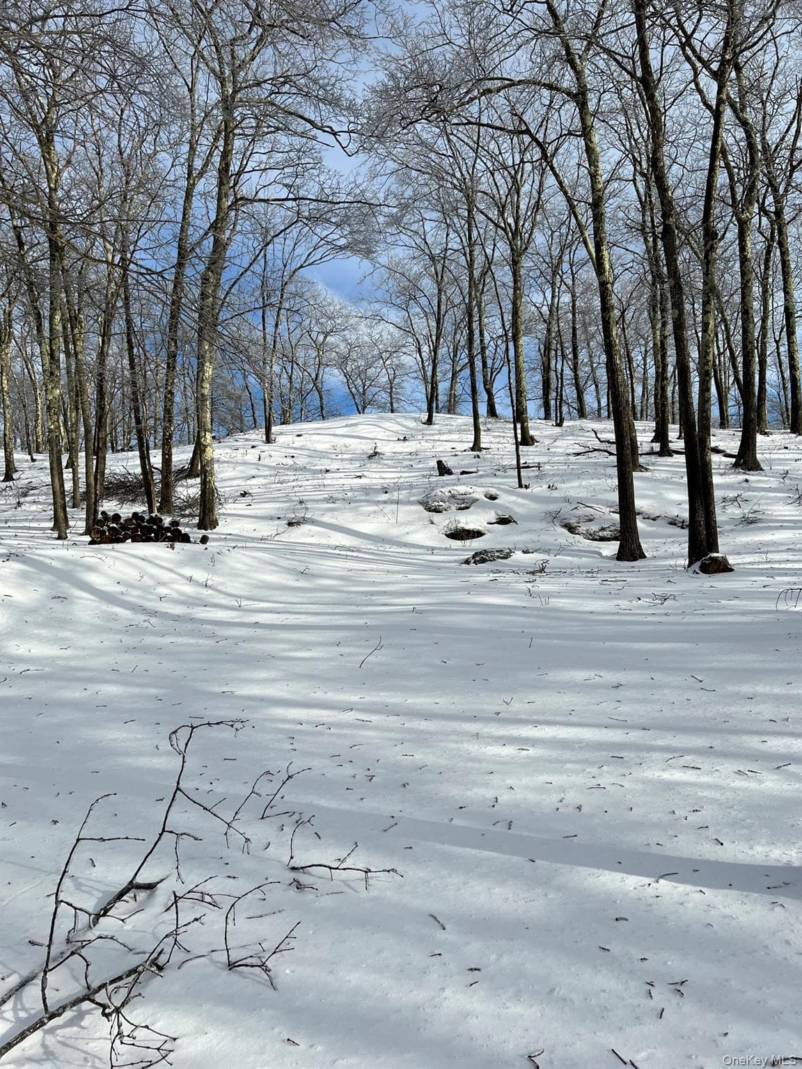 400 Mercer Mountain Road thumbnail 18