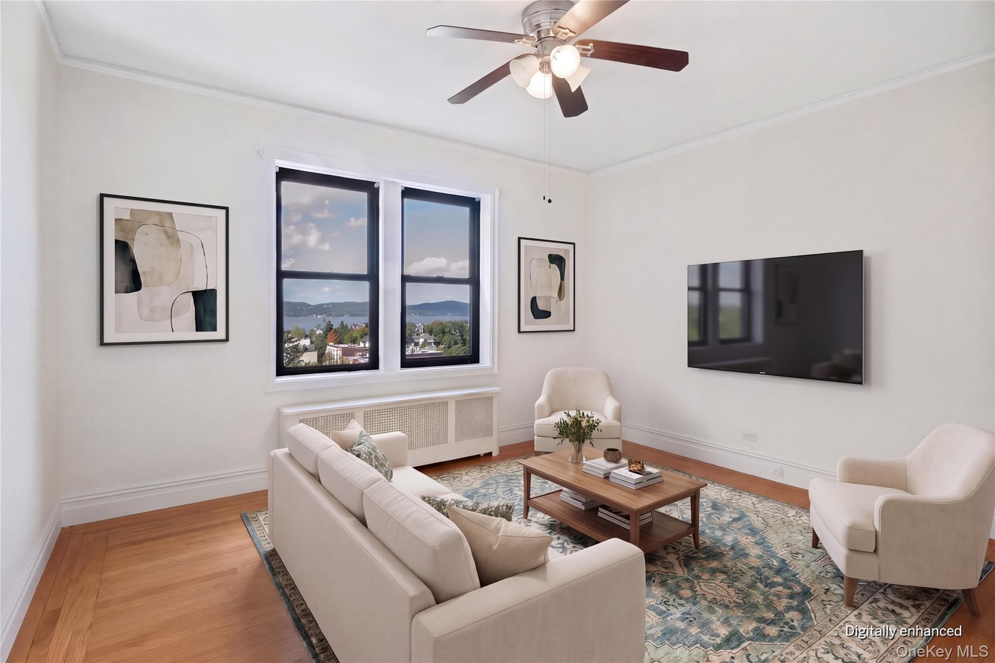 19 S Broadway Unit: 5 D thumbnail 7
