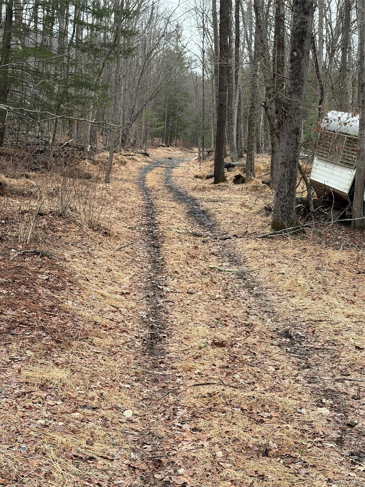 Red Hill Road thumbnail 5