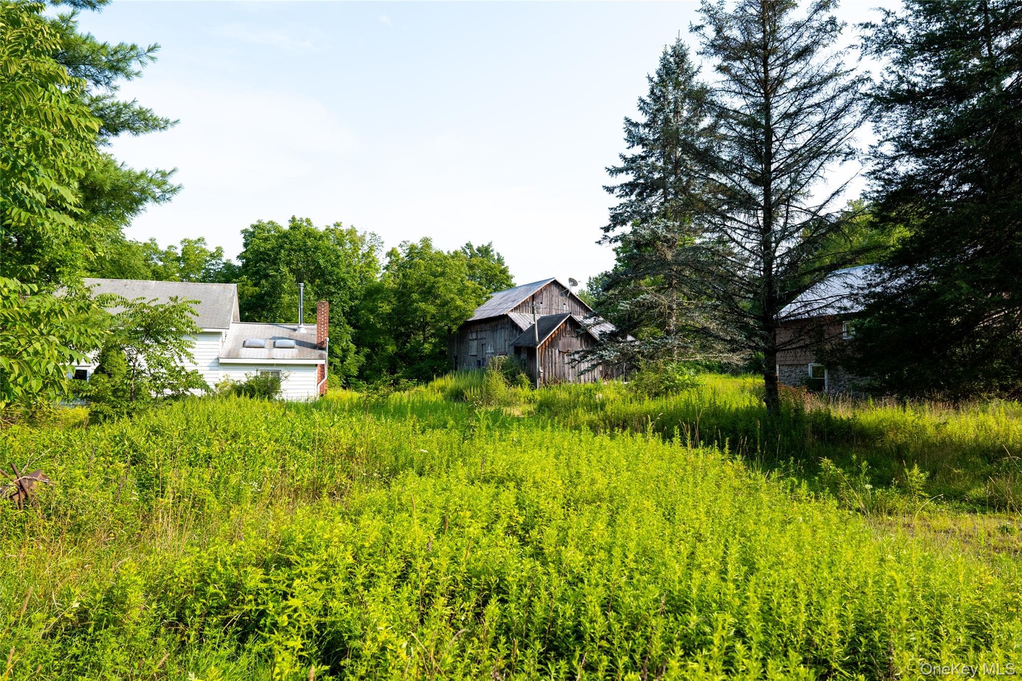 55 Hill Road thumbnail 12