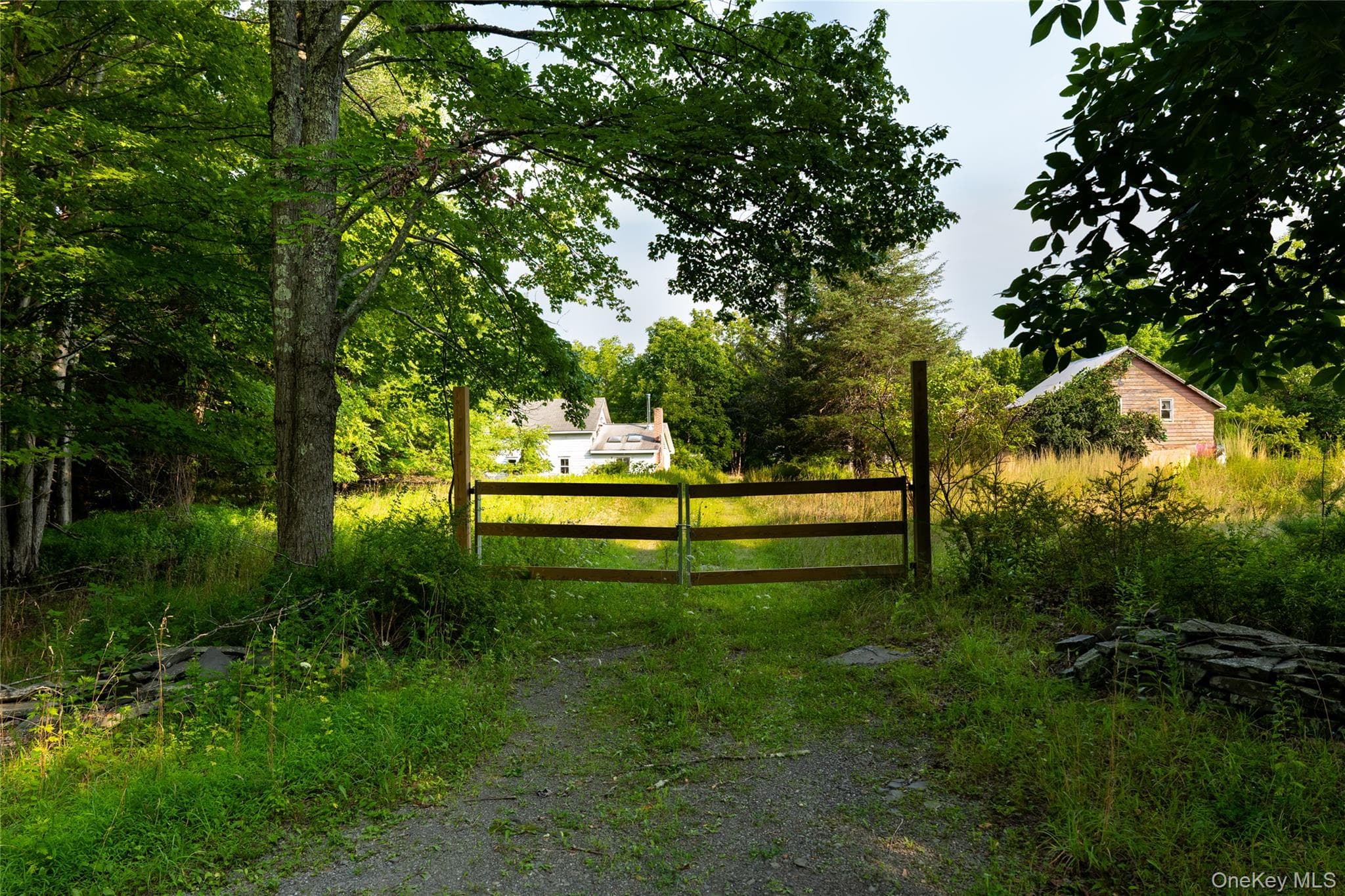 55 Hill Road thumbnail 9