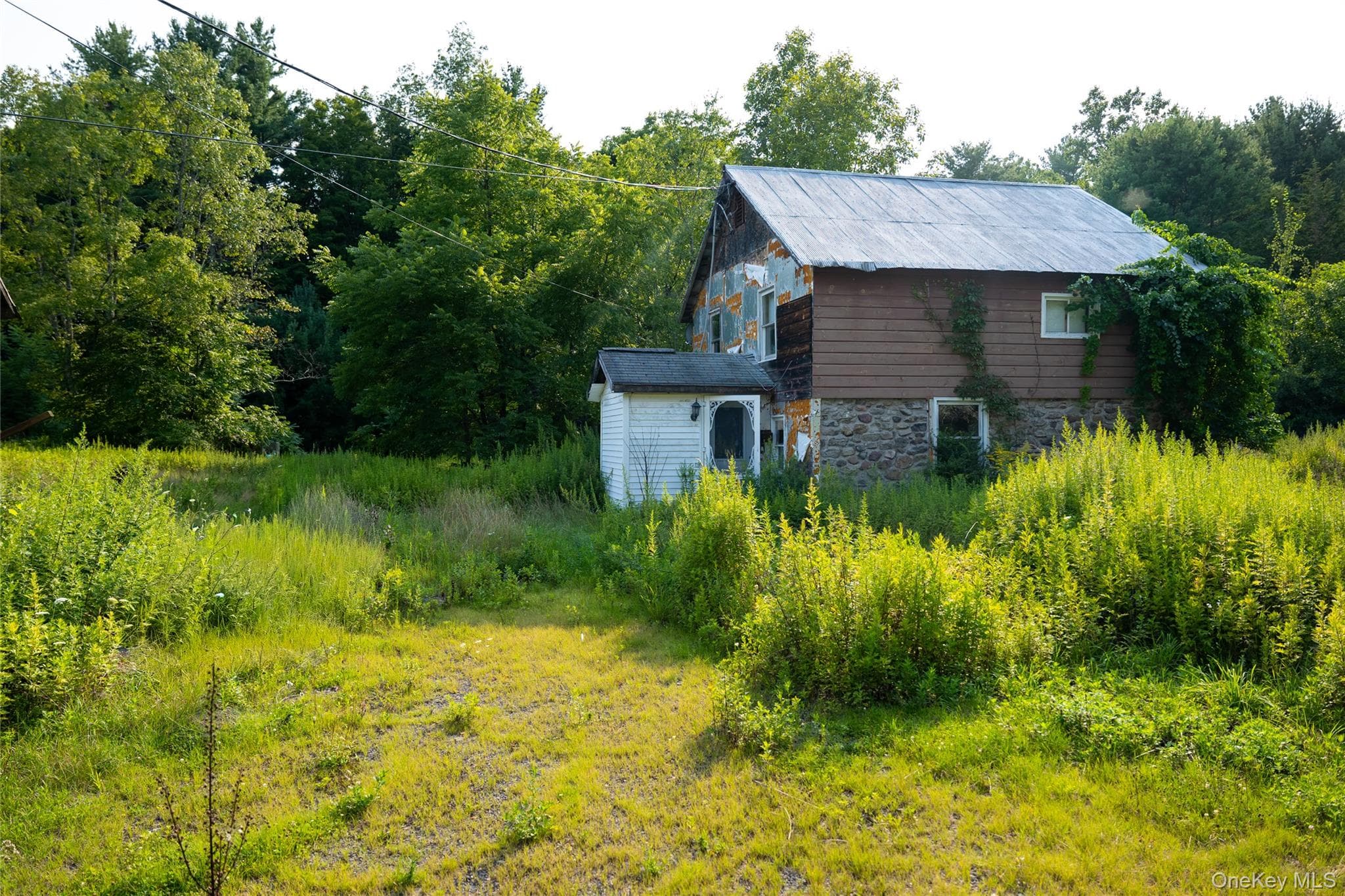 55 Hill Road thumbnail 14