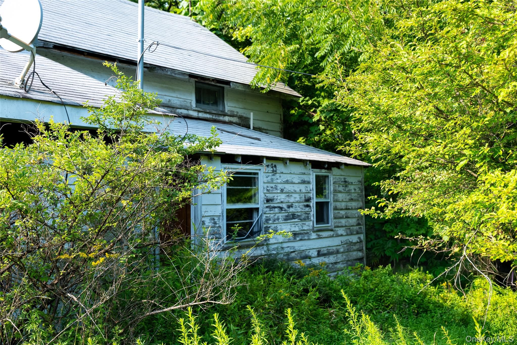 55 Hill Road thumbnail 31