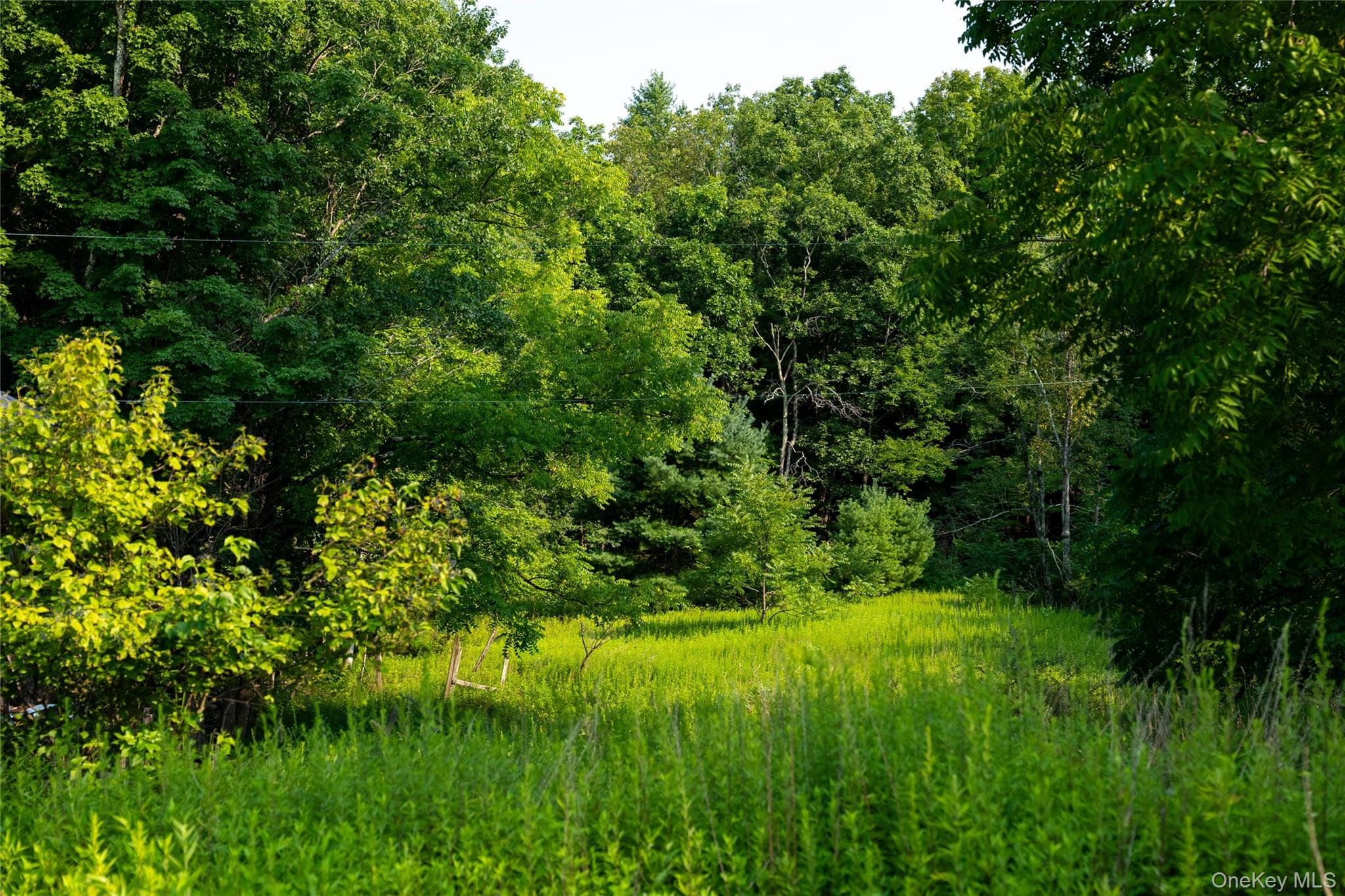 55 Hill Road thumbnail 20