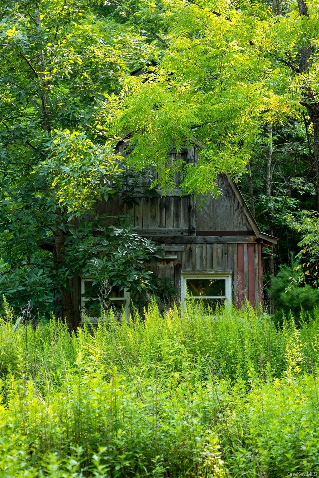 55 Hill Road thumbnail 17