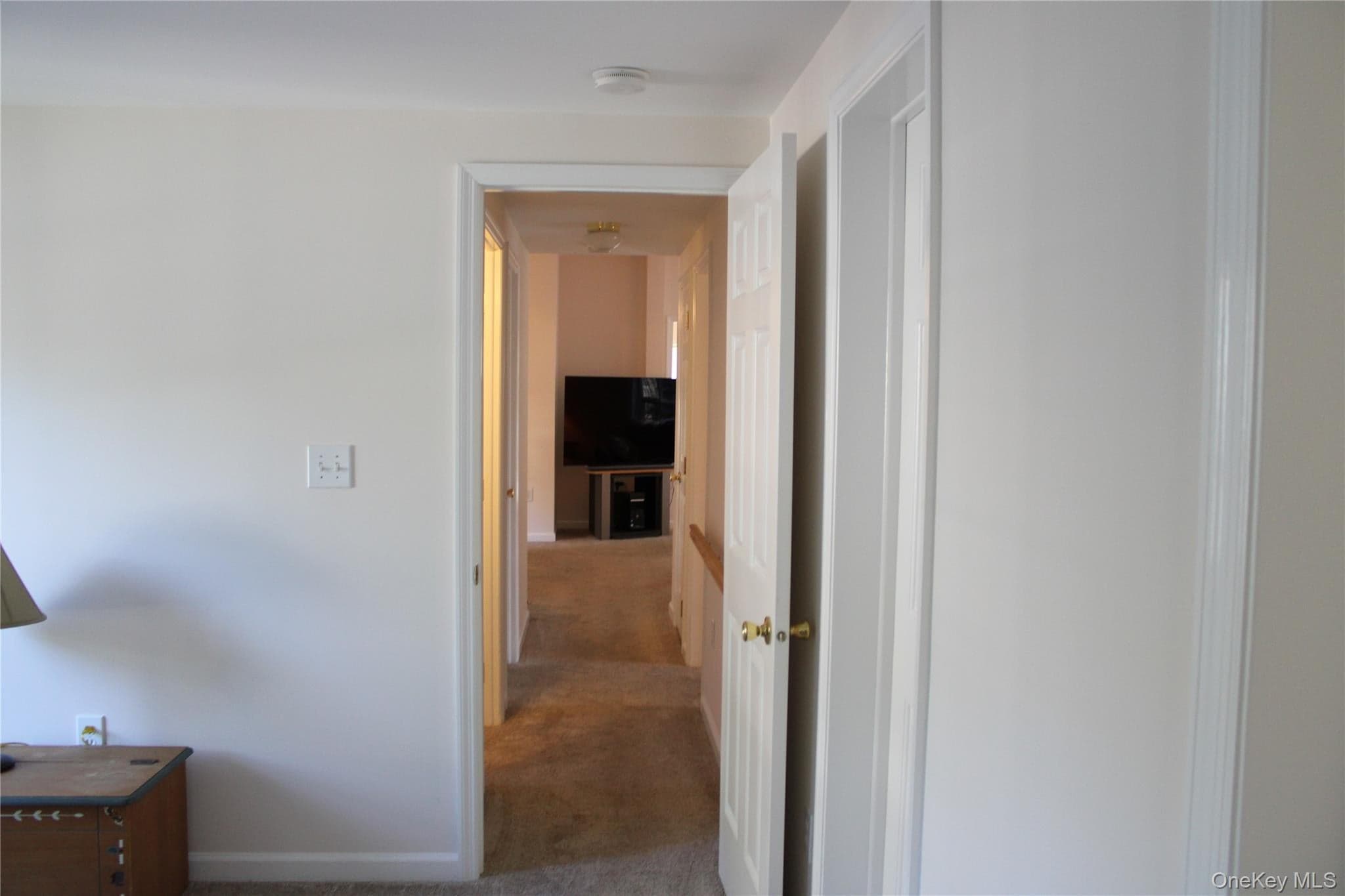 1661 Old Country Road Unit: 77 thumbnail 26