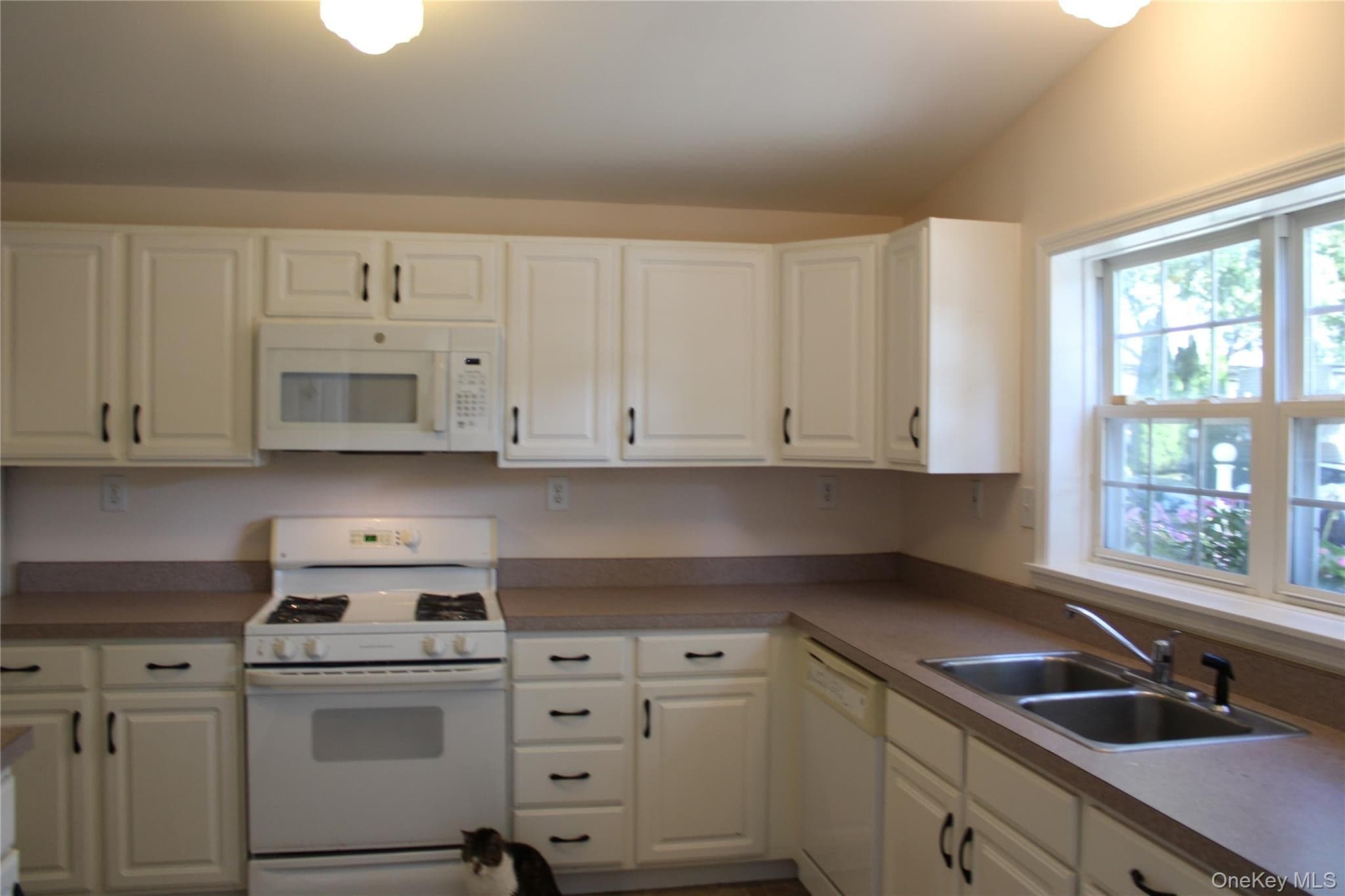 1661 Old Country Road Unit: 77 thumbnail 16