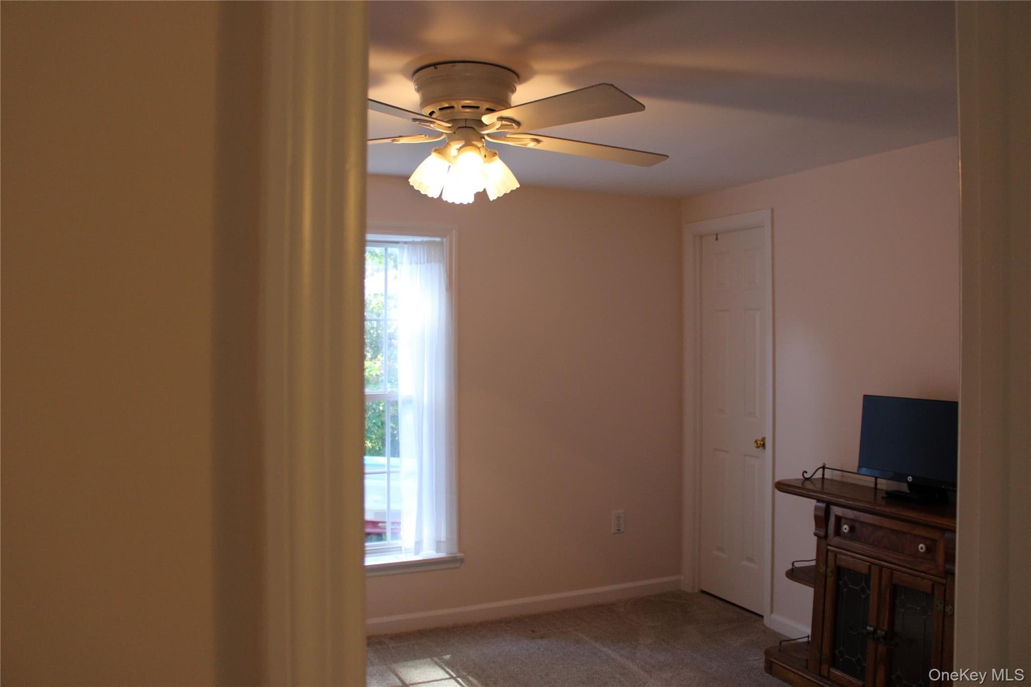 1661 Old Country Road Unit: 77 thumbnail 29