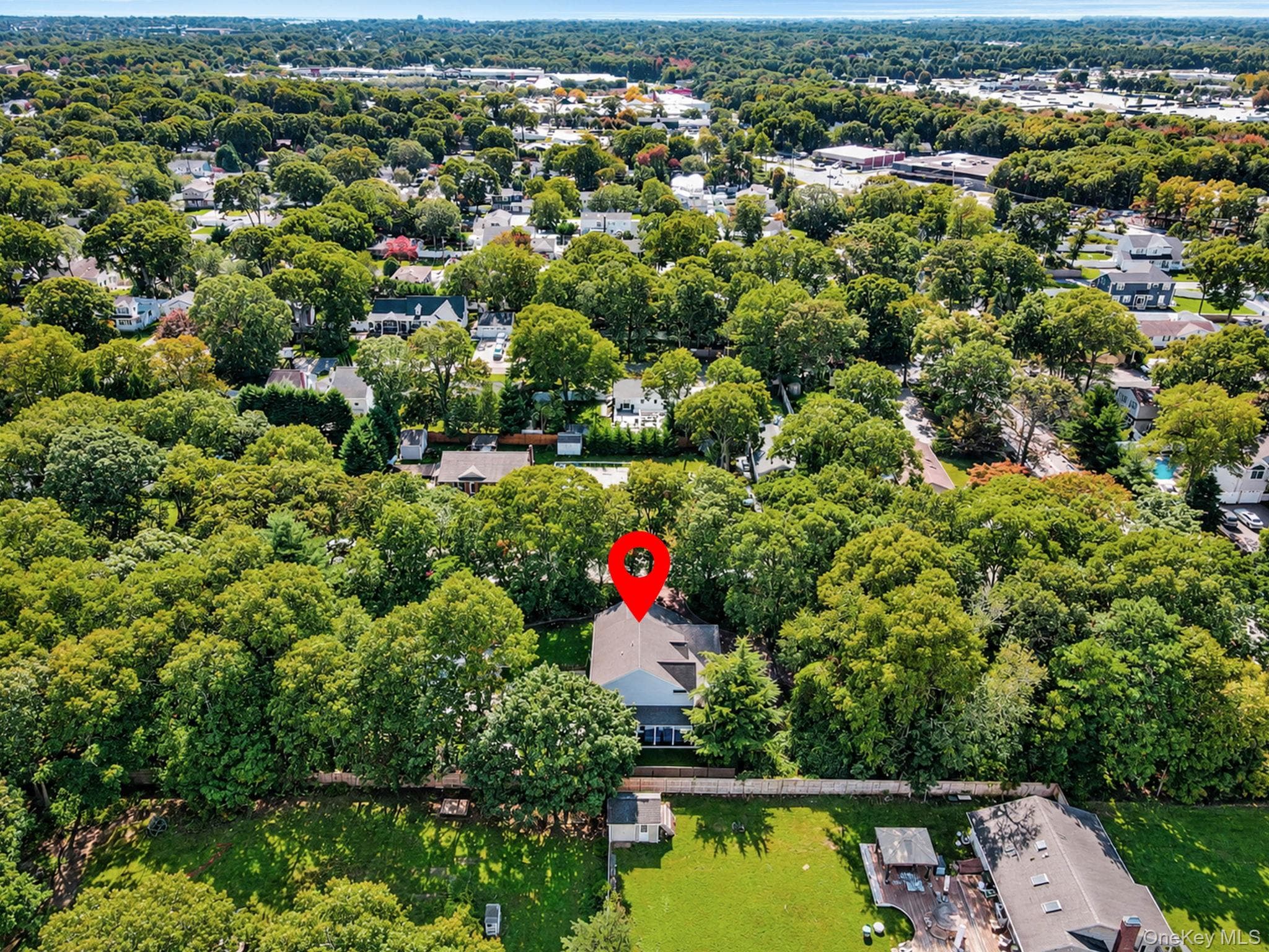 71 Buckley Road thumbnail 48