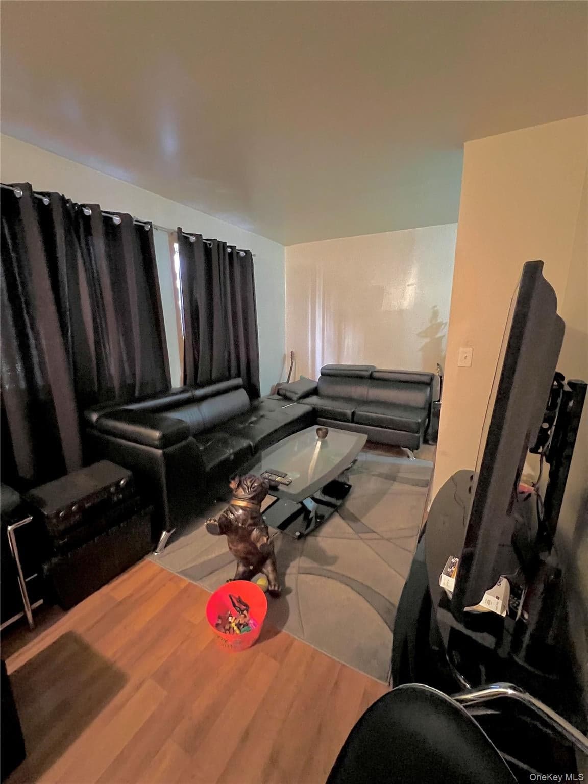 620 E 182nd Street thumbnail 7