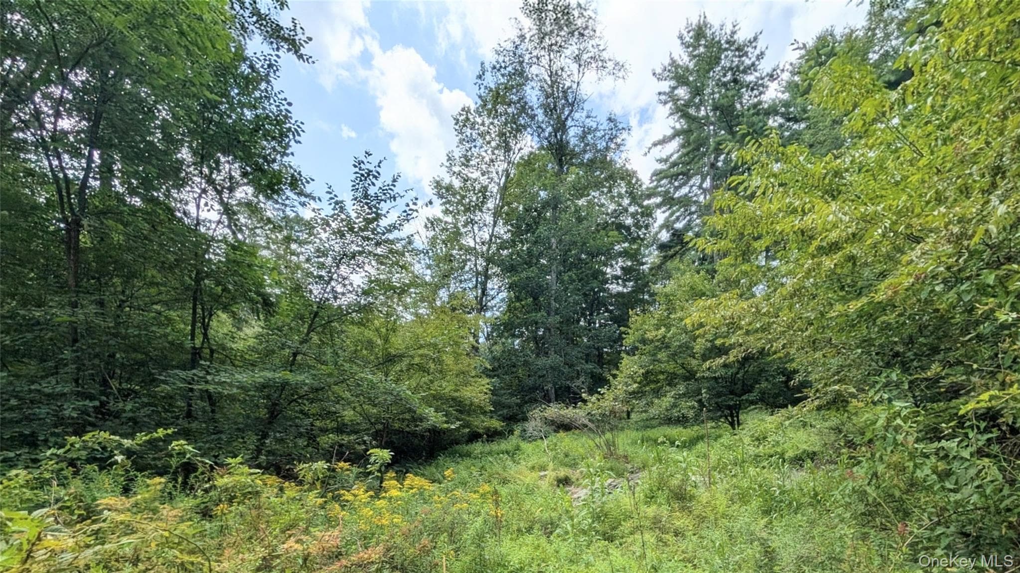 38 Hoffman Road thumbnail 32