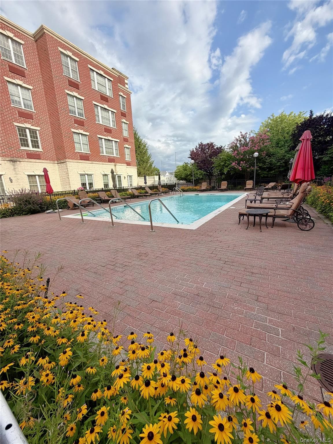 50 Merrick Avenue Unit: 226 thumbnail 31