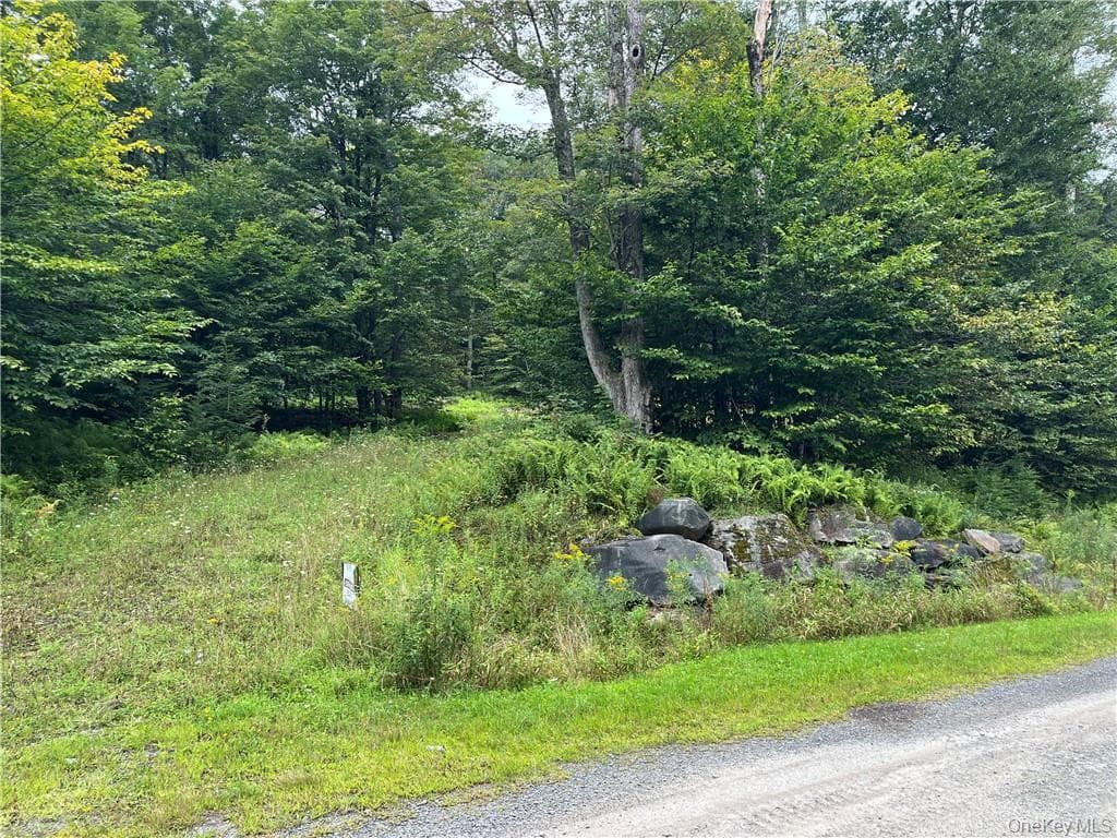 34 Black Bear Crossing thumbnail 3