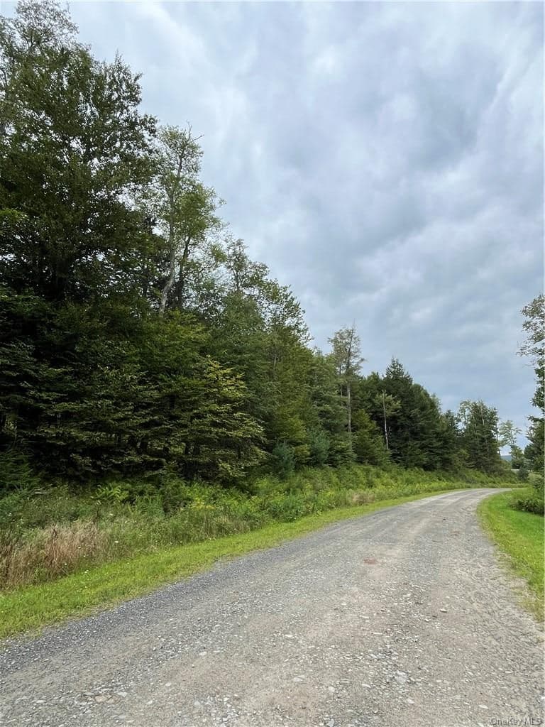 34 Black Bear Crossing thumbnail 18