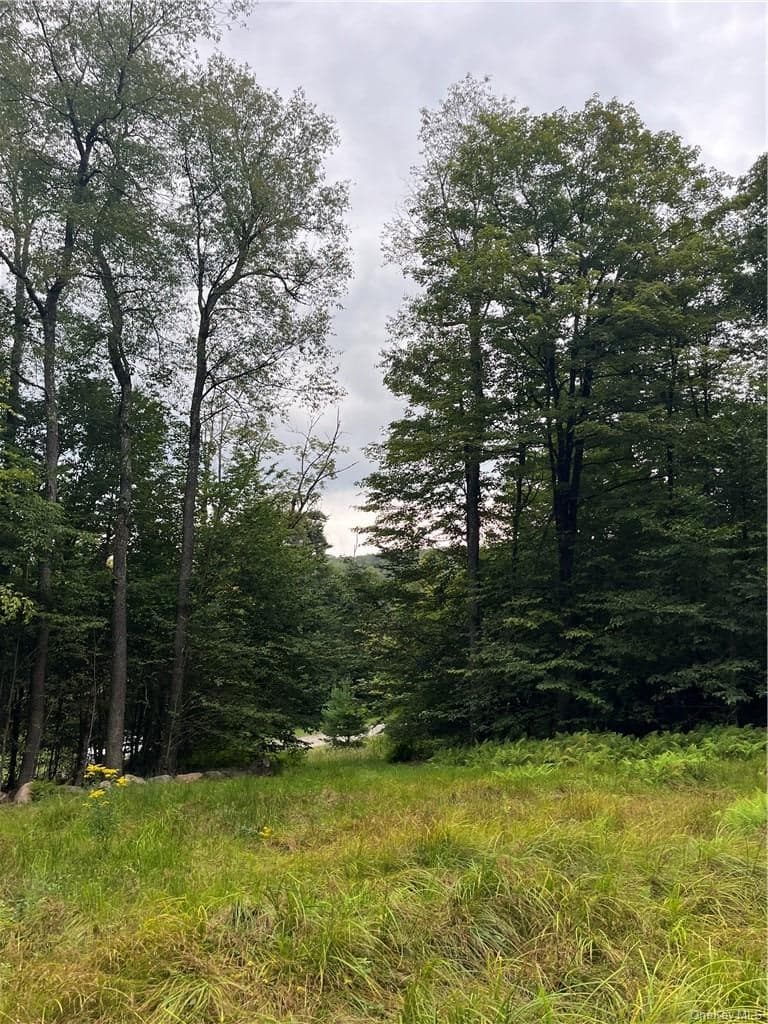 34 Black Bear Crossing thumbnail 16