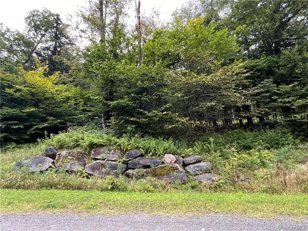 34 Black Bear Crossing thumbnail 19