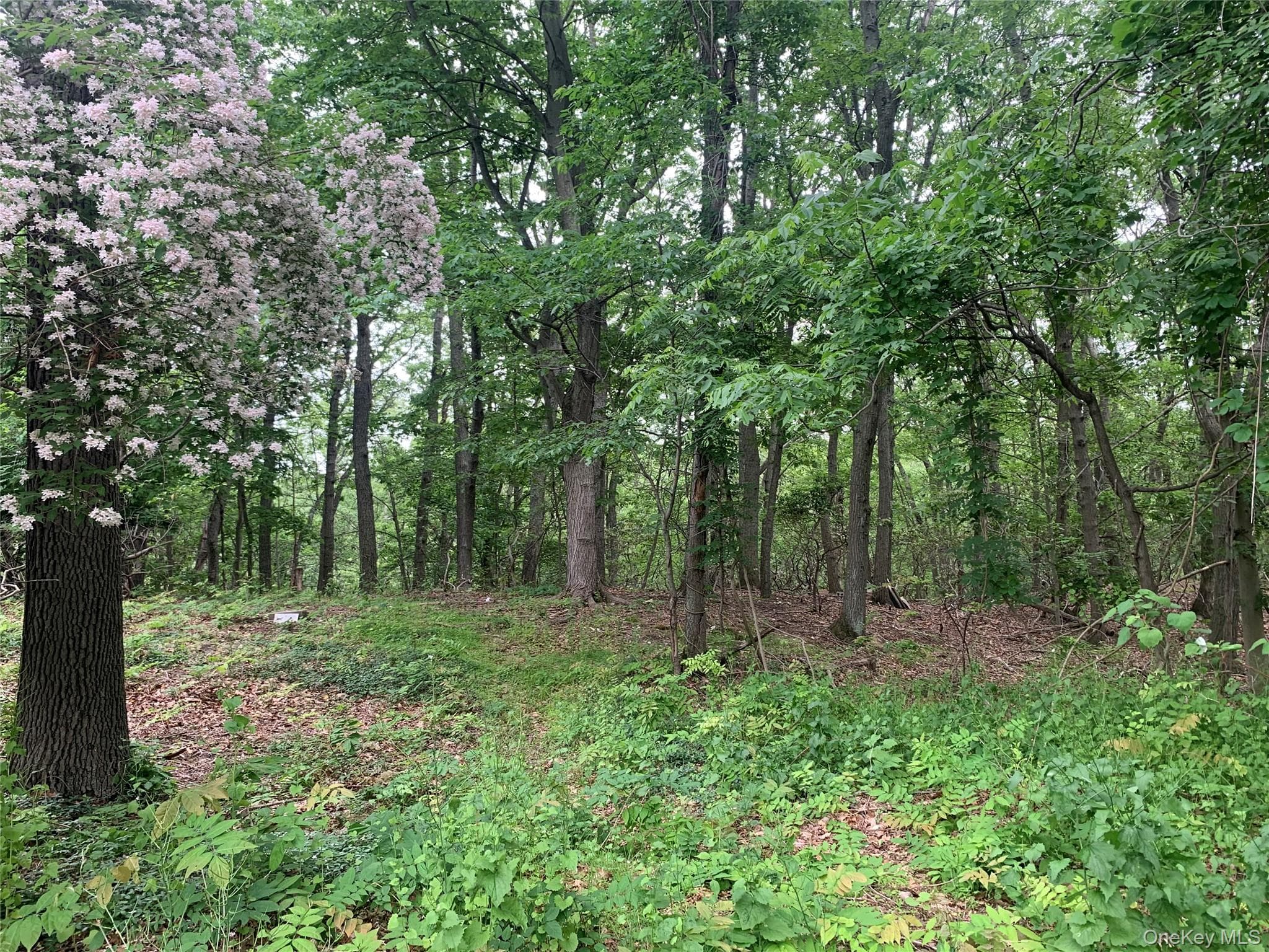 105 Laurel Lane thumbnail 2