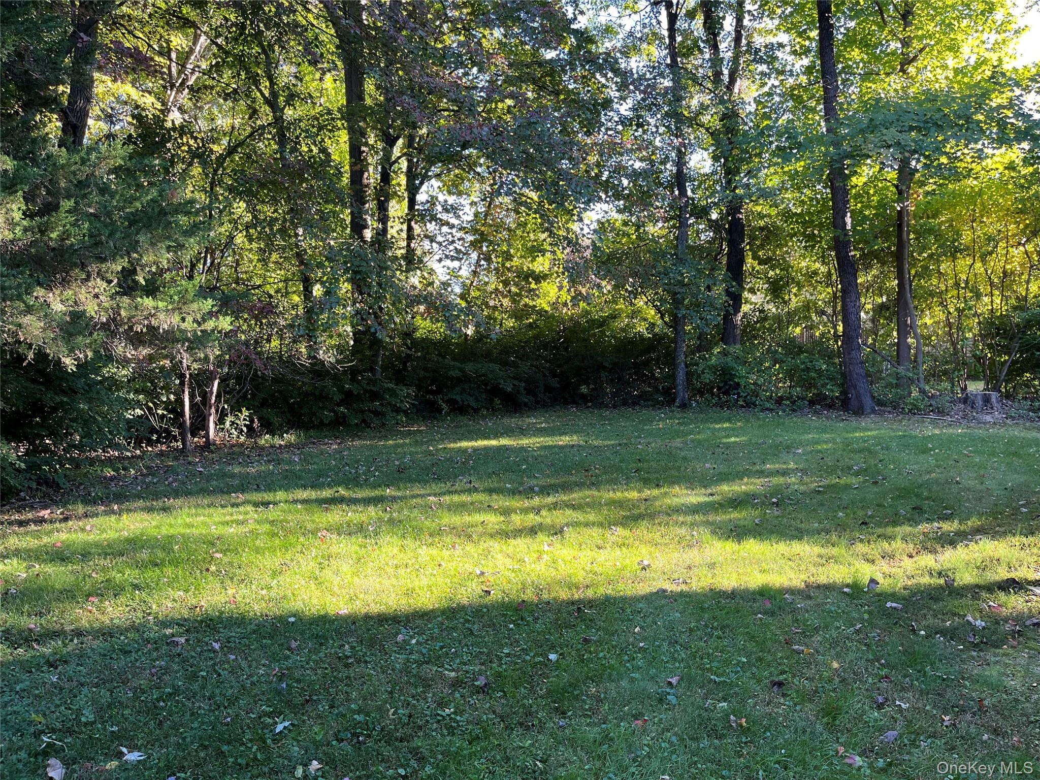 15 Rick Lane thumbnail 28