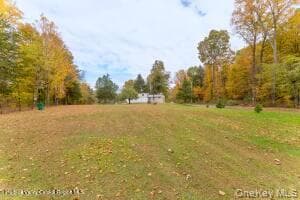 11 Miller Lane thumbnail 29