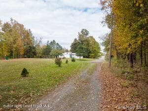 11 Miller Lane thumbnail 2