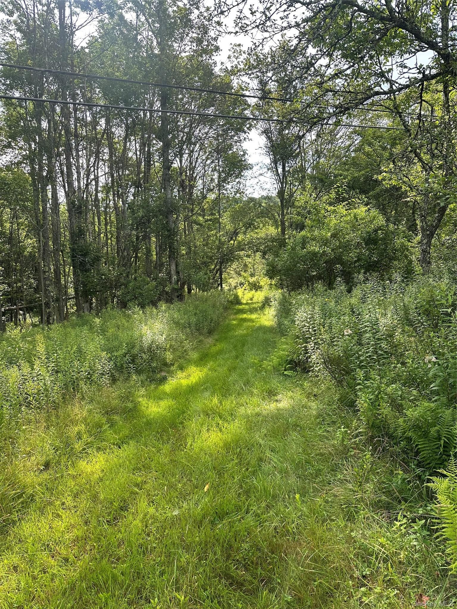 Benton Hollow Road thumbnail 8
